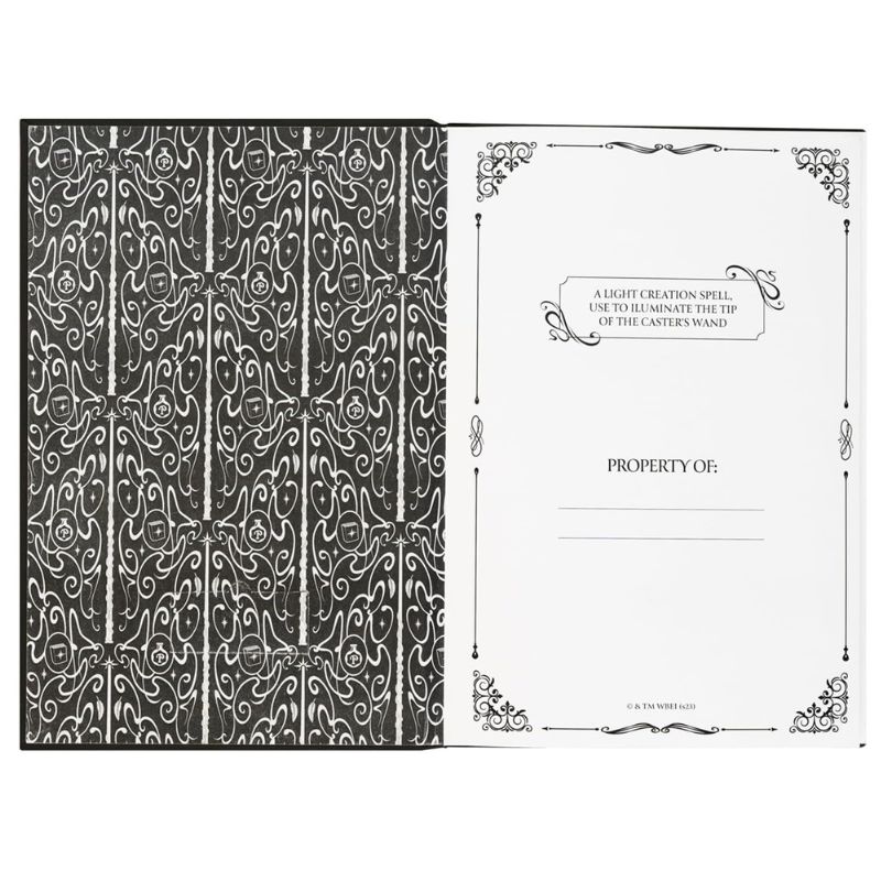 Fandom Notebook – Harry Potter – LUMOS (LICENSED) – 03